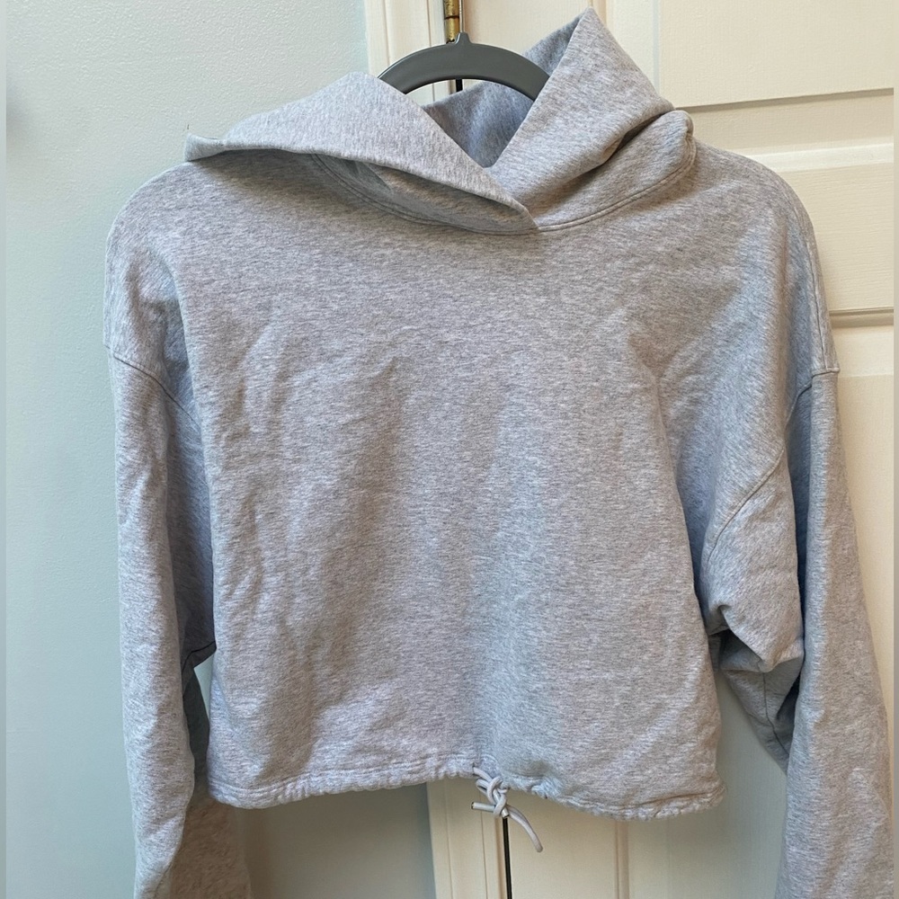 Aritzia Gray Cropped Sweatshirt with tie